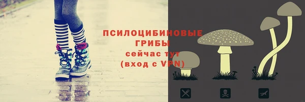 дживик Волоколамск