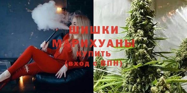тгк Володарск