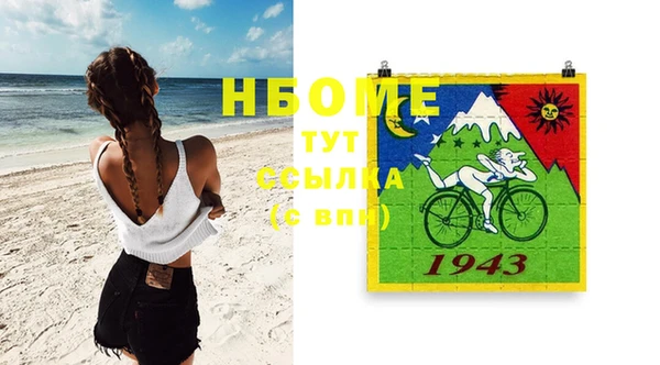 сатива Вяземский