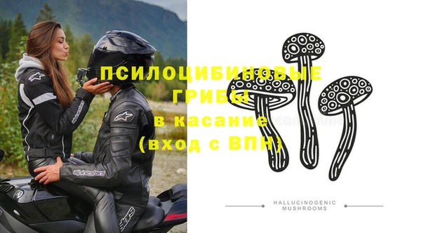 сатива Вяземский