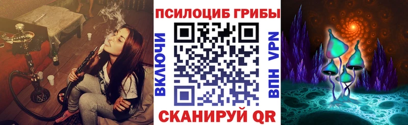где продают   Зерноград  Псилоцибиновые грибы мицелий 