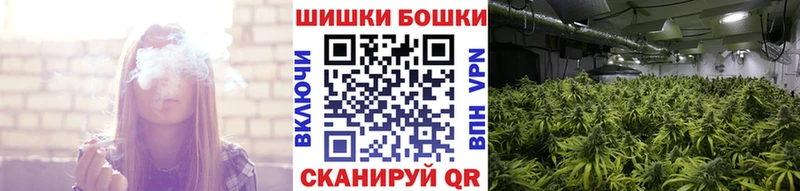 Каннабис индика Зерноград
